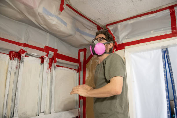 Best Black Mold Removal  in Rutland, VT